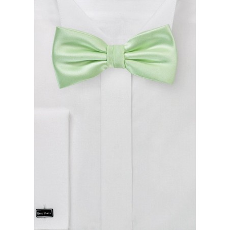 Light Mint Green Bow Tie