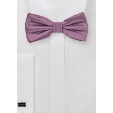Bow Tie in Purple Rose Color