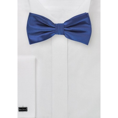 Elegant Bow Tie in Royal Blue