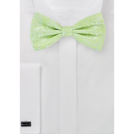 Pale Mint Green Bow Tie with Paisley