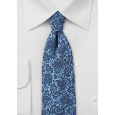 Unique Skinny Paisley Tie in Blue
