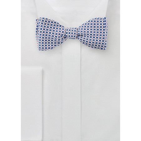 Spring Foulard Print Bow Tie