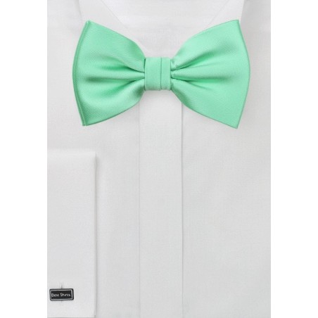 Bright Mint Bow Tie