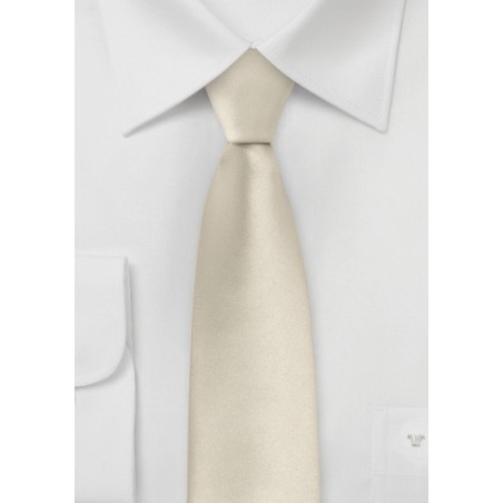 Solid Skinny Tie in Champagne