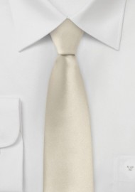 Solid Skinny Tie in Champagne