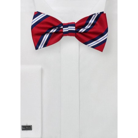 Repp Stripe Bow Tie in Red and Blue