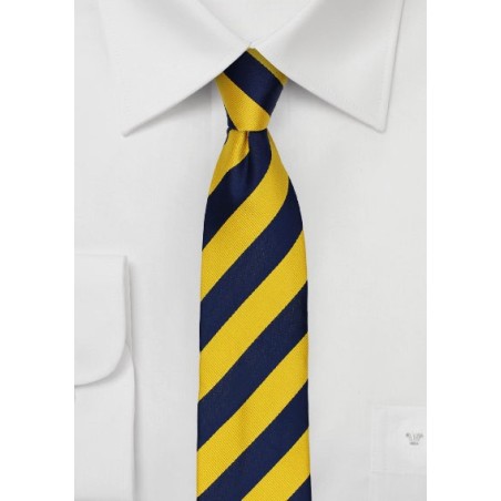 Skinny Striped Tie in Navy and Yellow