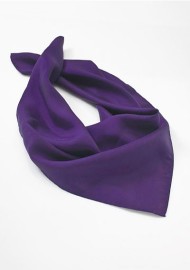 Regency Purple Womens Scarf