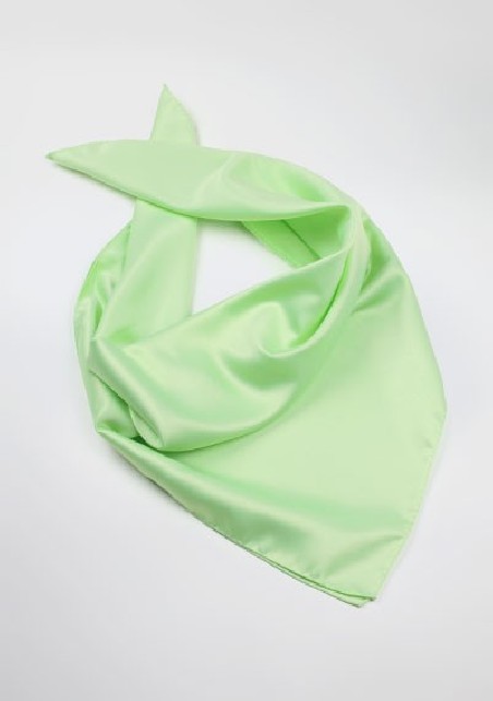 Light Mint Colored Womens Scarf