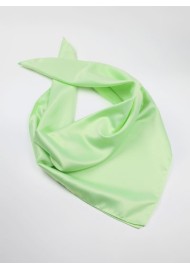 Light Mint Colored Womens Scarf