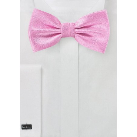 Carnation Pink Bowtie