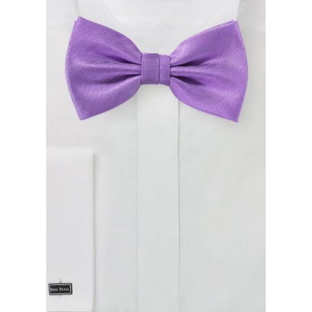 Textured Bow Tie in Violet