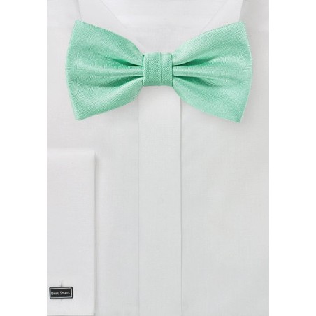 Solid Textured Bow Tie in Fresh Mint