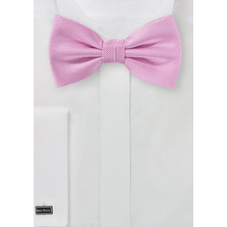 Carnation Pink Bowtie in Matte Finish