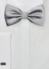 Elegant Bow Tie in Soft Silver and White
