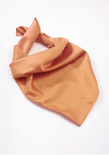 Ladies Scarf in Apricot