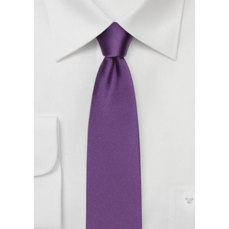 Skinny Silk Tie in Violet Purple
