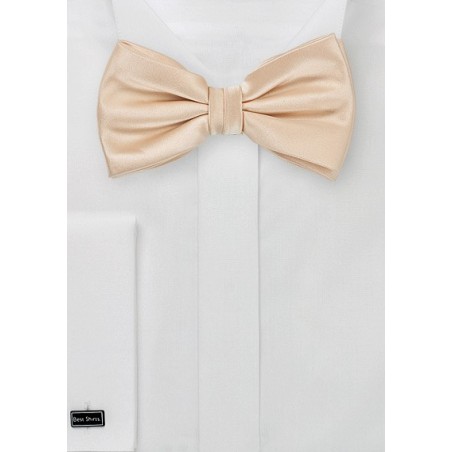 Champagne Kids Bow Tie