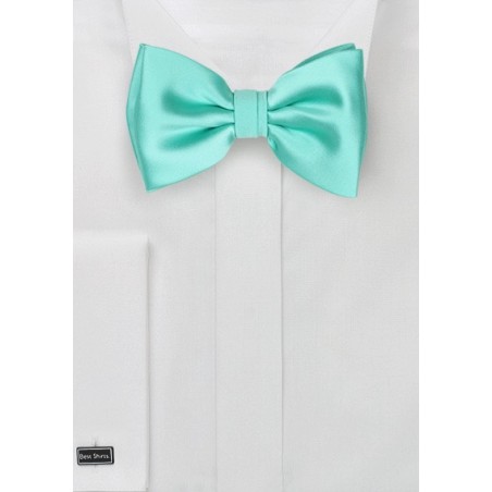 Kids Bow Tie in Beach Glass