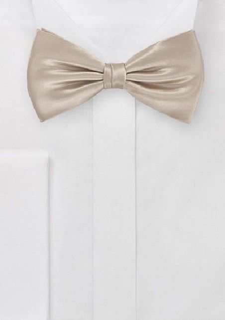 Shiny Champagne Kids Bow Tie