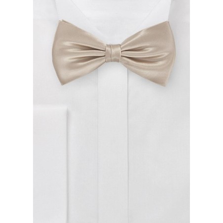 Shiny Champagne Kids Bow Tie