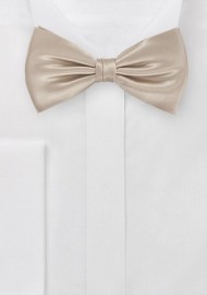 Shiny Champagne Kids Bow Tie