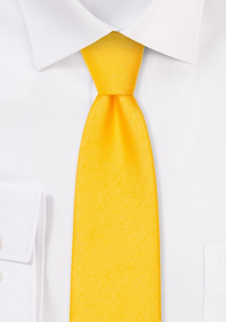 Matte Woven Slim Cut Tie in Blue Bird