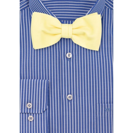 Lemon Chiffon Bow Tie by Puccini
