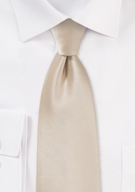 Shiny Champagne Colored Necktie