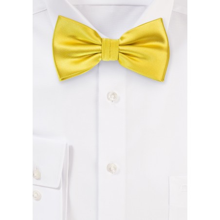 Solid Mens Bow Tie in Bright Sun Yellow