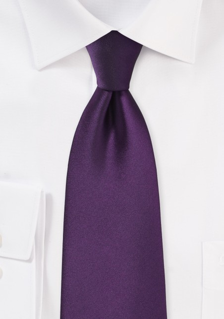 Solid Eggplant Purple Tie in XL