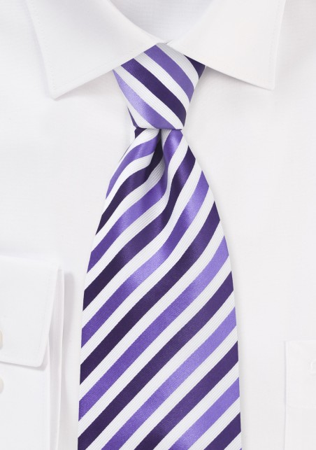 Striped Extra Long Tie in Purples