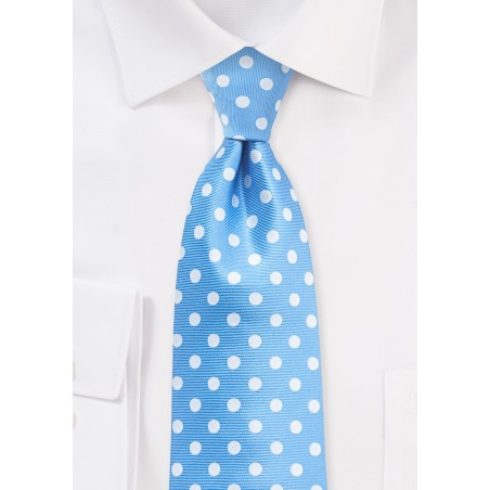 Polka Dot Tie in Alaskan Blue