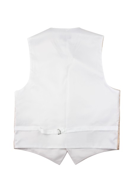 Paisley Formal Vest in Golden Champagne Back