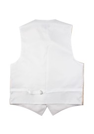 Paisley Formal Vest in Golden Champagne Back
