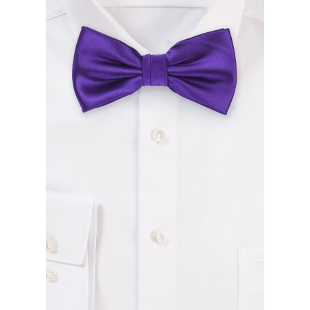 Regency Purple Mens Bow tie
