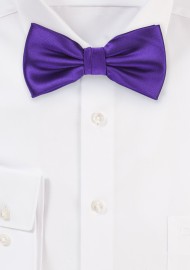 Regency Purple Mens Bow tie
