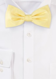 Wood Grain Weave Bowtie in Spring Yellow