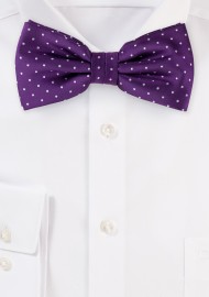 Grape Purple Polka Dot Bow Tie
