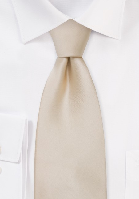 Solid Silk Tie in Champagne Color