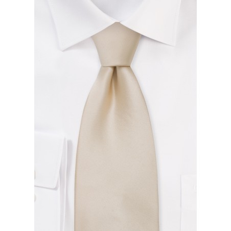 Solid Silk Tie in Champagne Color