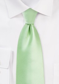 Light Mint Colored Necktie