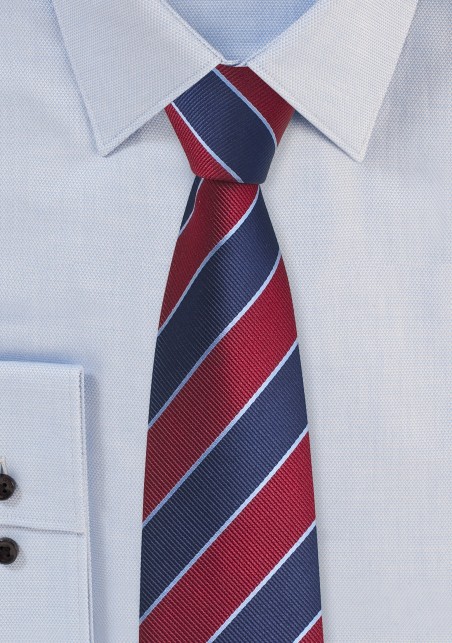 Collegiate Stripe Skinny Tie in Red and Blue