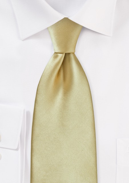 Formal Golden Tan Tie