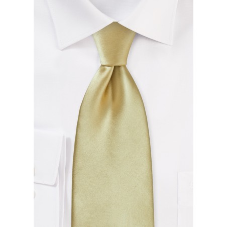 Formal Golden Tan Tie
