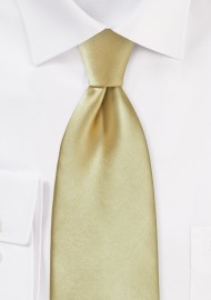 Formal Golden Tan Tie