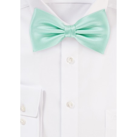 Honeydew Colored Bow Tie