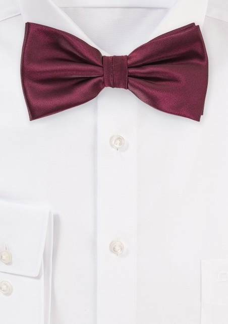 Wine Red Colored Bow Tie