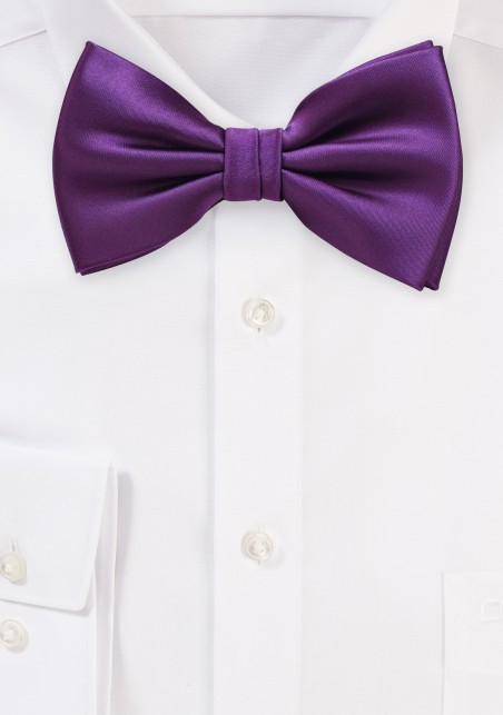 Bright Purple Bow Tie in Solid Color