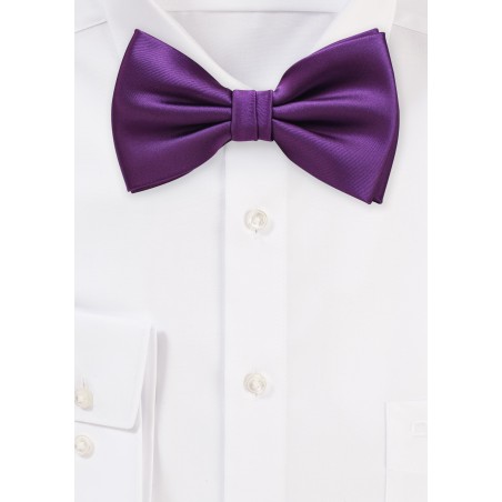 Bright Purple Bow Tie in Solid Color